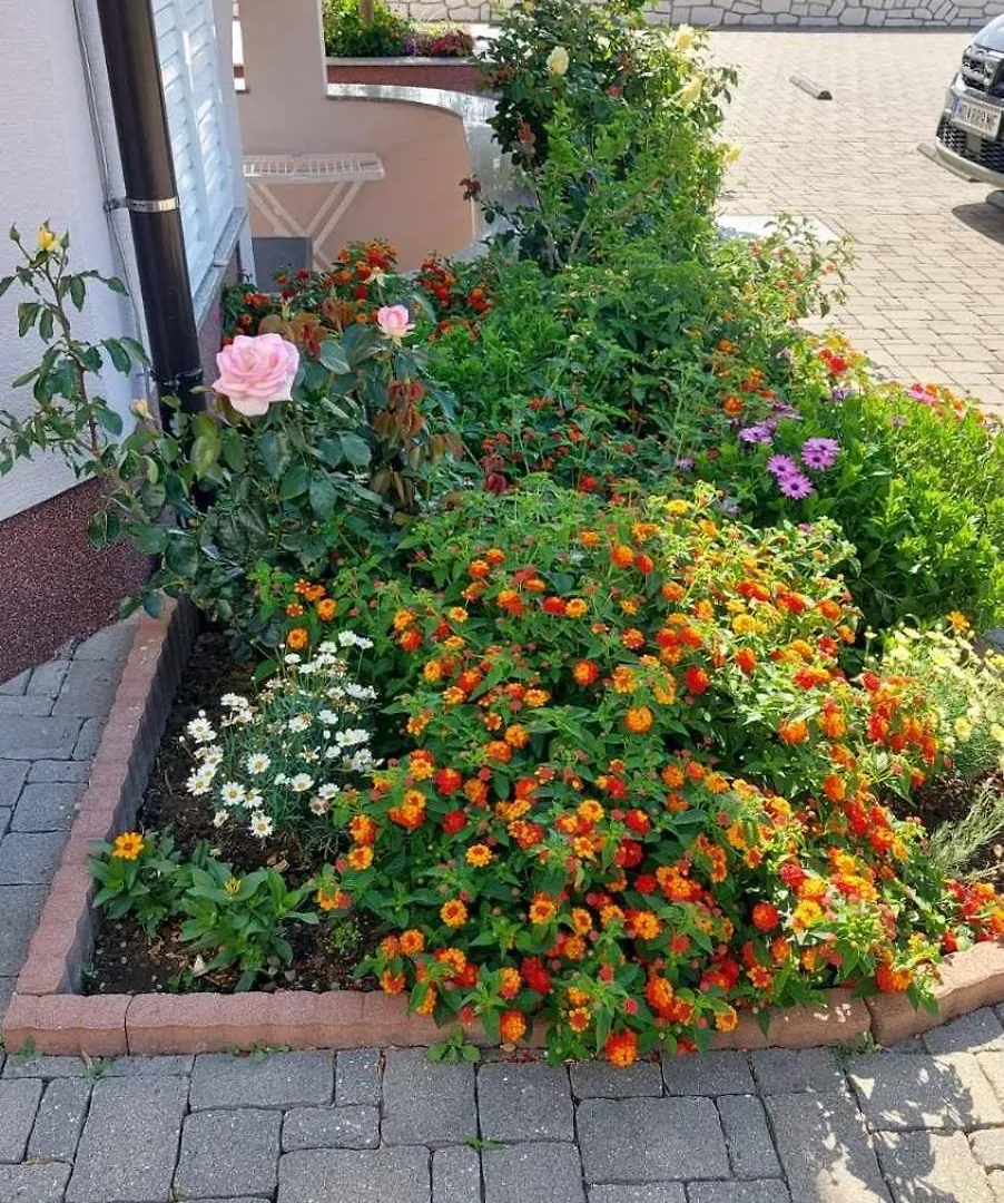Apartment Pirun Baška